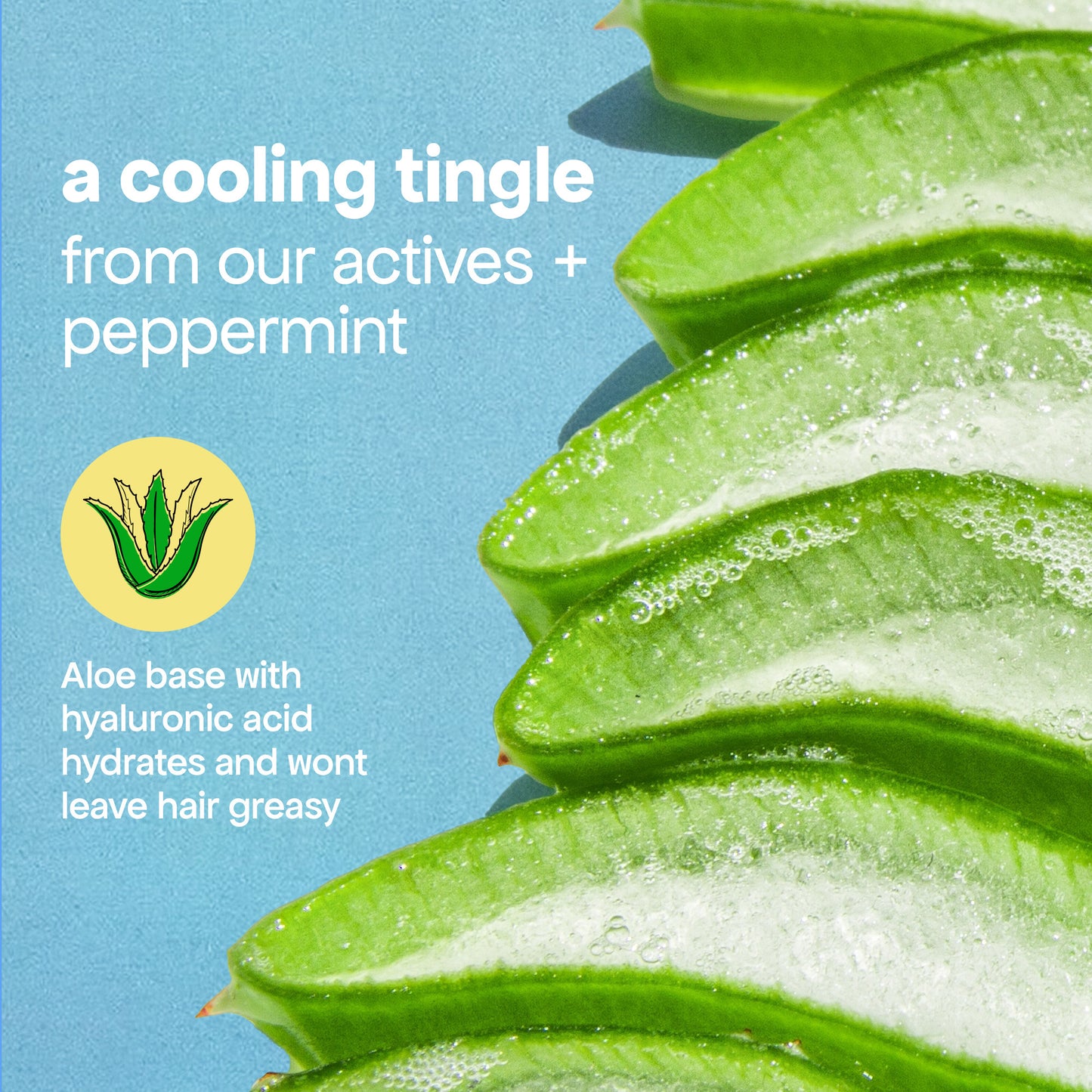 LOCK DROPS ANTI-SHEDDING SCALP & HAIR SERUM