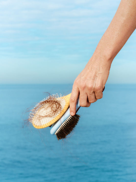 hair fall out in a brush