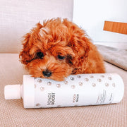 Pooch Wash